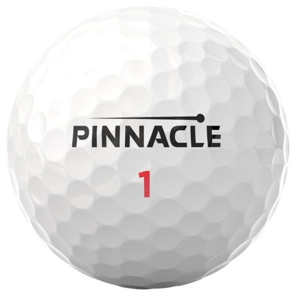 PInnacle-Soft-15-Rush-4-jpgmini